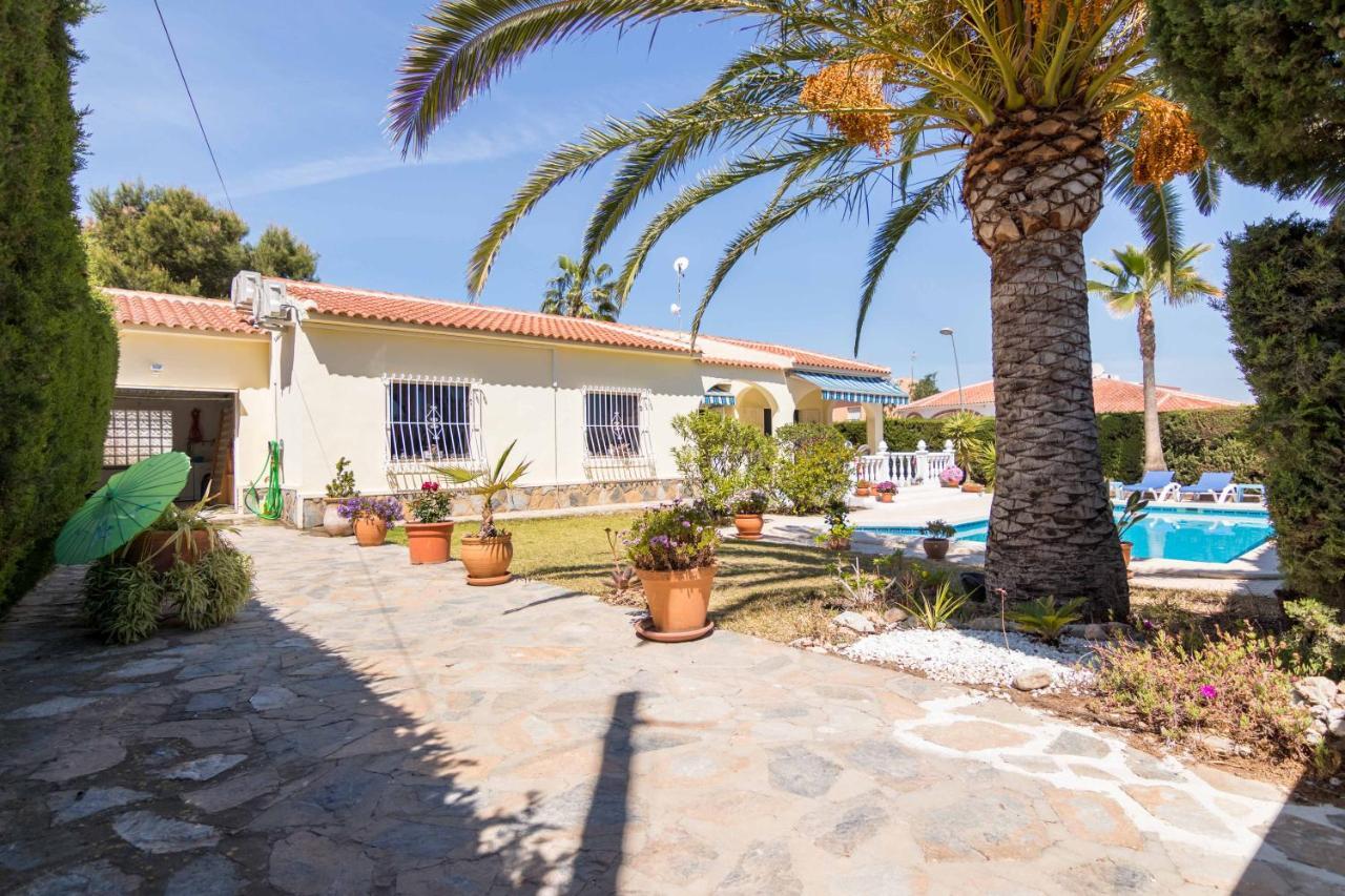 Charming One-Floor Villa With Private Pool In Los Balcones Torrevieja Extérieur photo